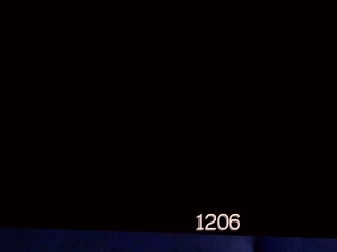 Lola1206