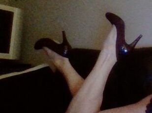 Pussykat