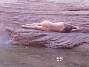 Shams66